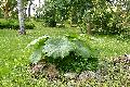 [ pilt: 152X    IMG_4610.JPG ]